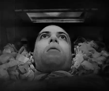 Vampyr photo
