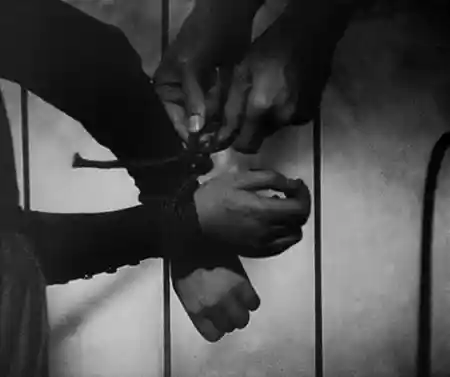 Vampyr photo