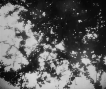 Vampyr