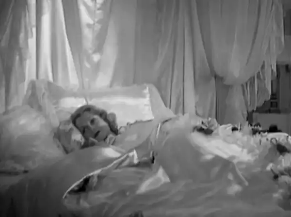 Bed of Roses photo
