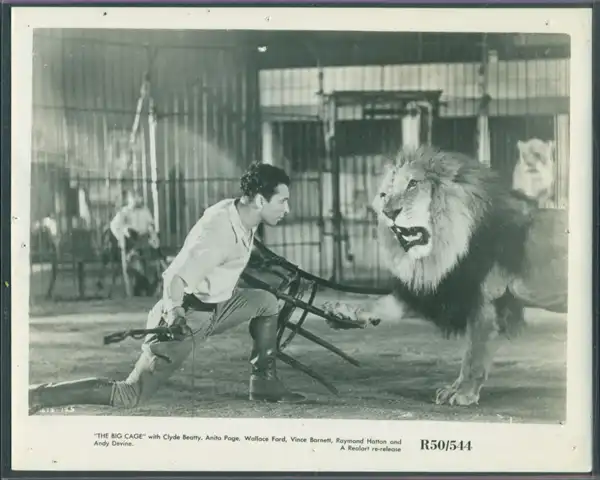 The Big Cage