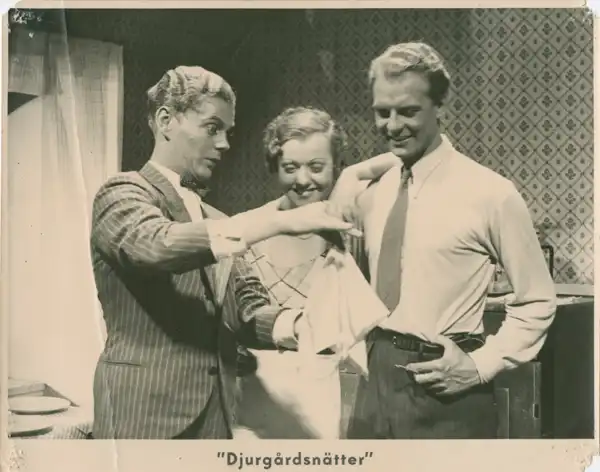 Djurgårdsnätter photo
