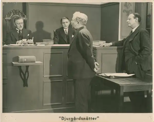 Djurgårdsnätter photo