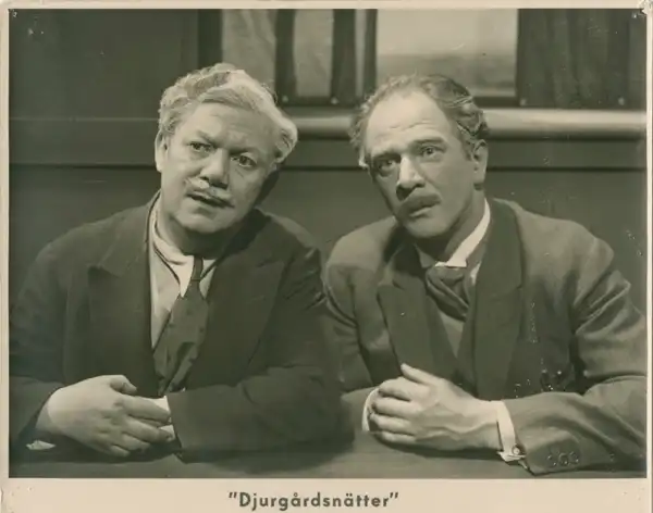 Djurgårdsnätter photo