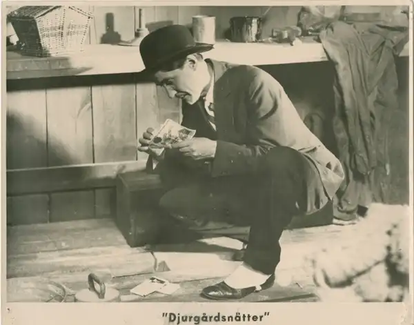 Djurgårdsnätter photo