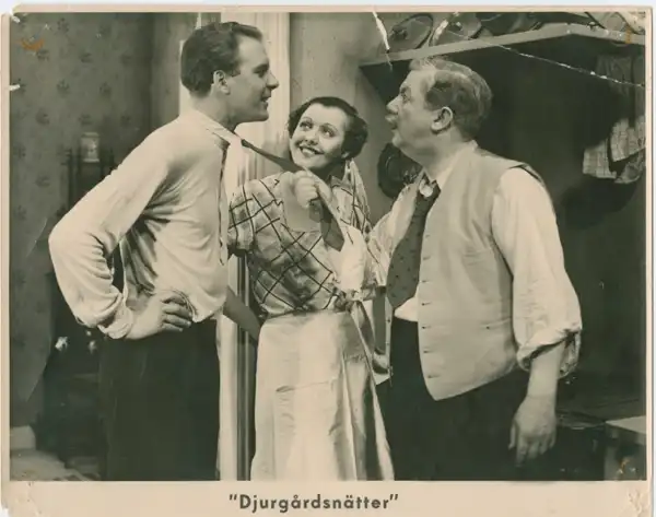 Djurgårdsnätter photo