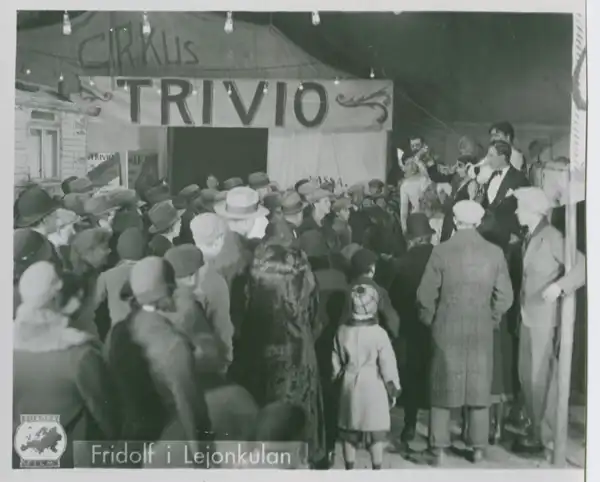 Fridolf i lejonkulan