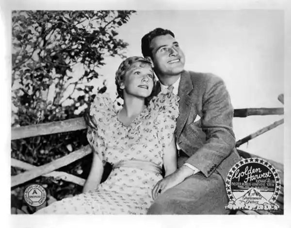 Golden Harvest photo