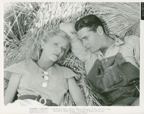 Golden Harvest photo