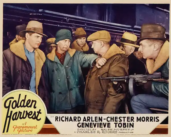 Golden Harvest photo