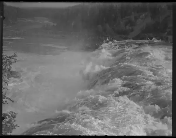 Hälsingar photo