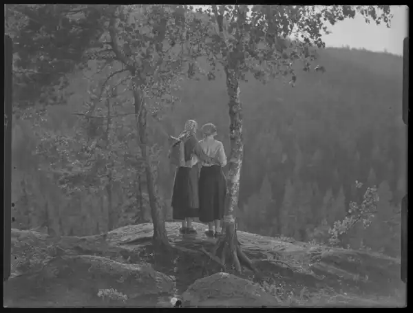 Hälsingar photo
