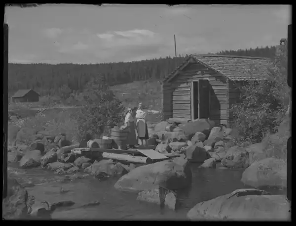 Hälsingar scene