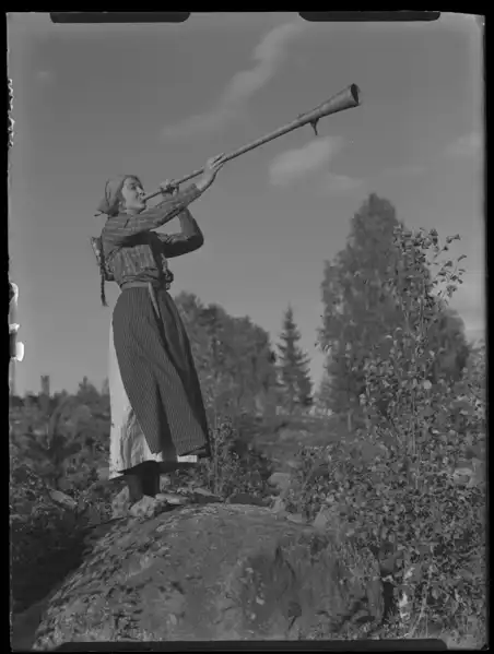 Hälsingar