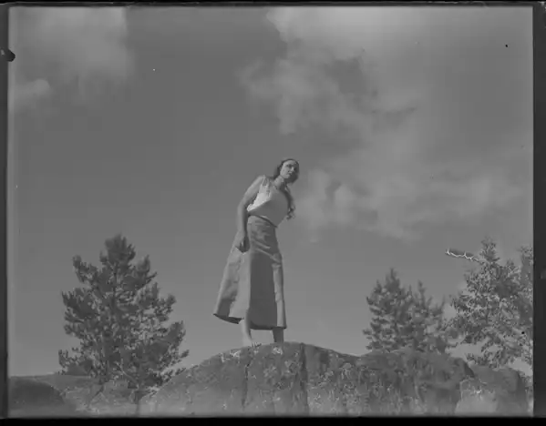 Hälsingar photo