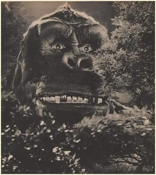 King Kong photo