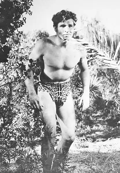 King of the Jungle photo