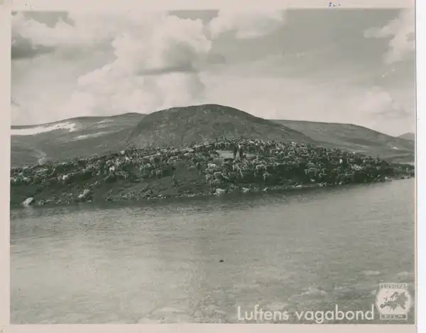 Luftens vagabond scene
