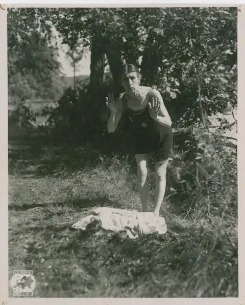 Luftens vagabond photo