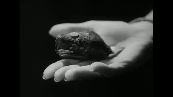 Murders in the Zoo scene