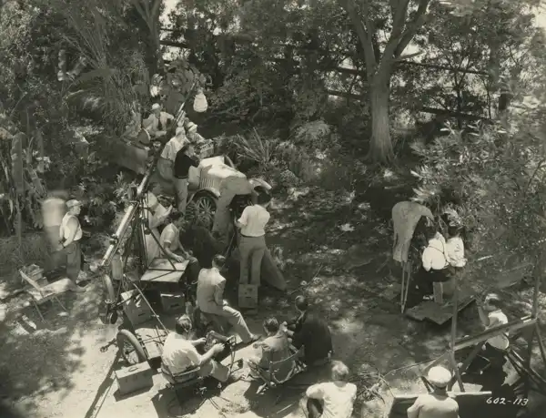 Picture Brides scene