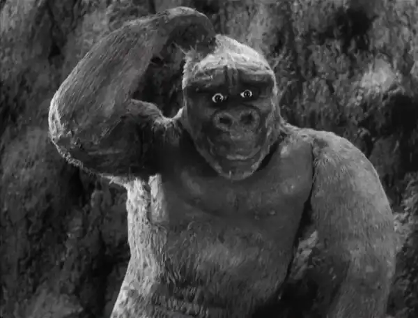 Son of Kong photo