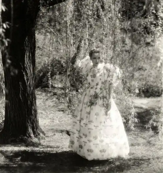 The Song of Songs photo