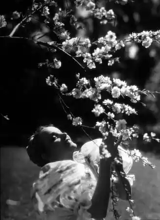 The Song of Songs photo