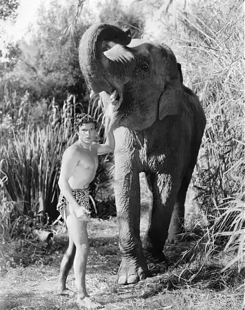 Tarzan the Fearless photo