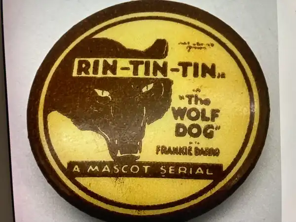 The Wolf Dog