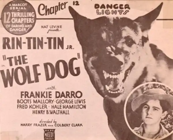 The Wolf Dog