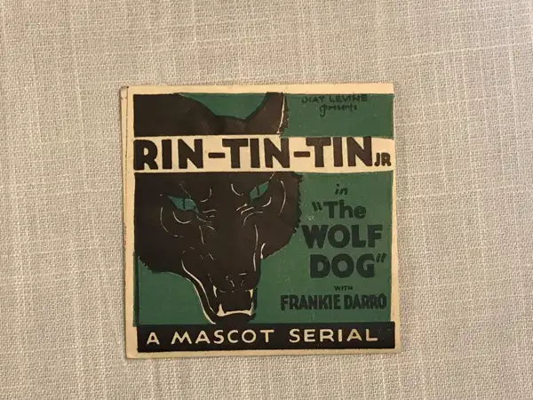 The Wolf Dog
