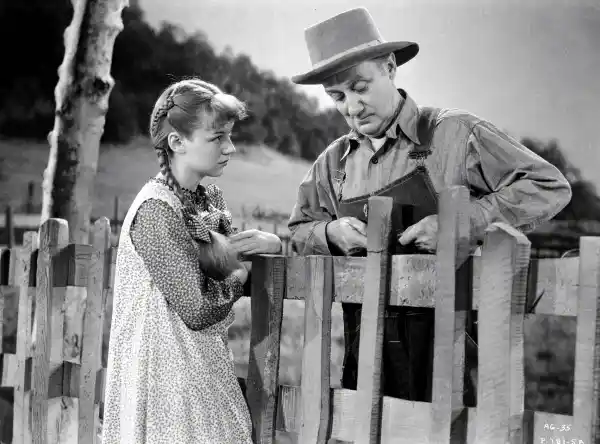 Anne of Green Gables photo