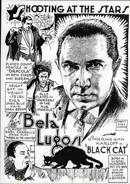 The Black Cat photo