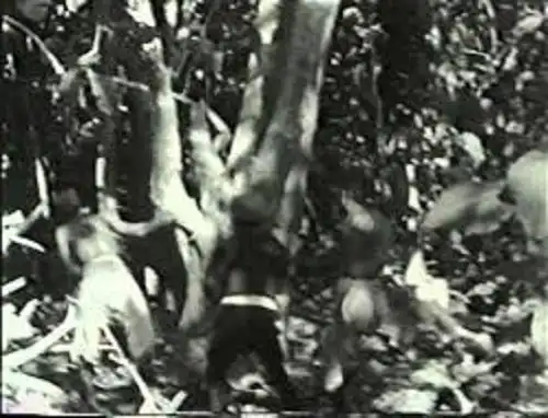 Brides of Sulu scene
