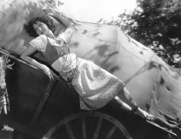 Caravan photo