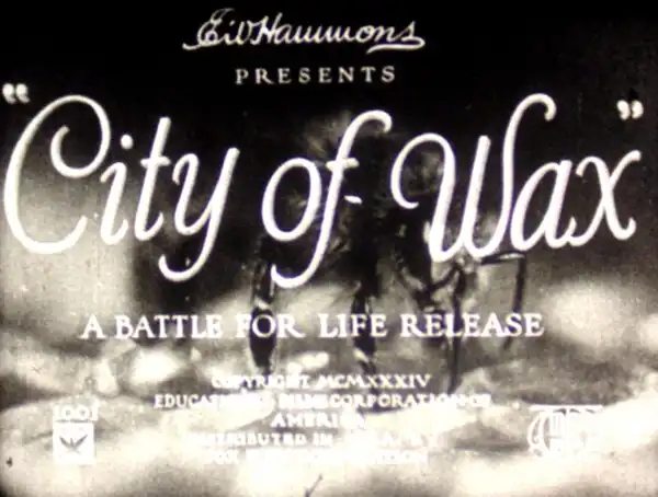 City of Wax photo