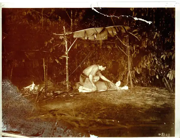 The Devil Tiger