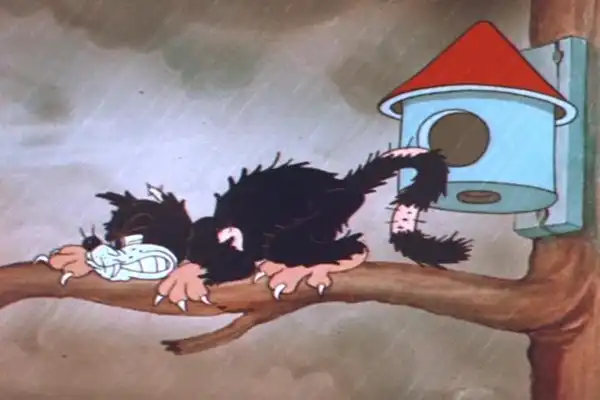 The Discontented Canary scene