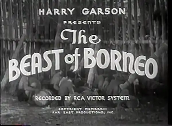 The Beast of Borneo photo