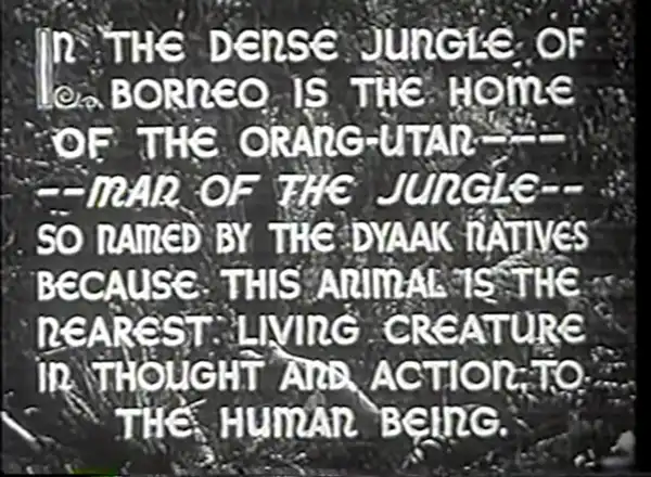 The Beast of Borneo photo