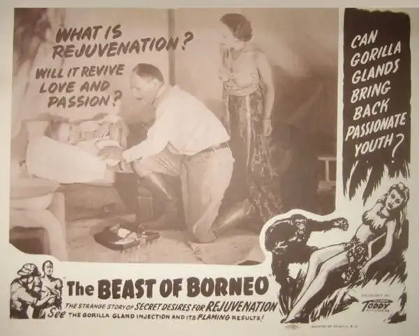 The Beast of Borneo photo