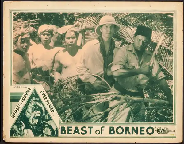 The Beast of Borneo photo