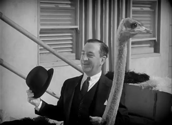 Fashions of 1934 photo