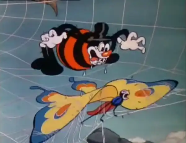 The Flying Mouse photo