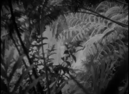 Four Frightened People photo
