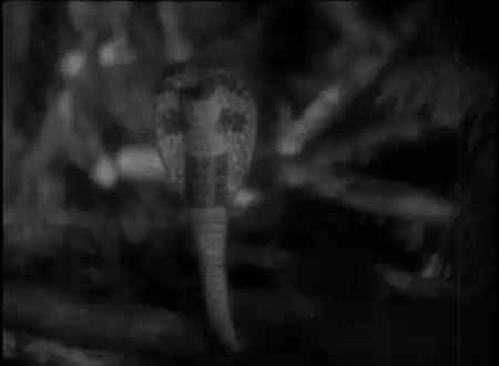 Four Frightened People photo