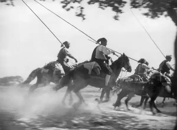 Gado Bravo scene