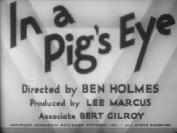 In a Pig's Eye