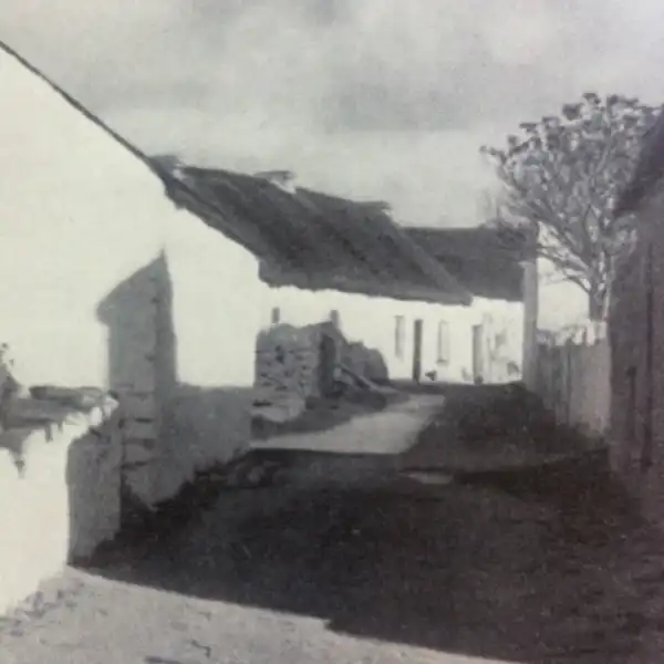 Man of Aran photo